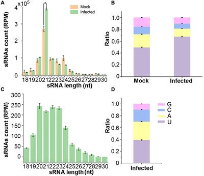 Verticillium dahliae Secretes Small RNA to Target Host MIR157d and Retard Plant Floral Transition During Infection